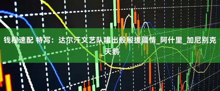 钱程速配 特写：达尔汗文艺队唱出殷殷援疆情_阿什里_加尼别克_天鹅