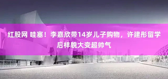 红股网 哇塞！李嘉欣带14岁儿子购物，许建彤留学后样貌大变超帅气