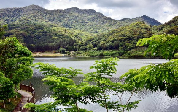 玖富配资 构建“三权分置”长效机制，集体林地流转新政落地