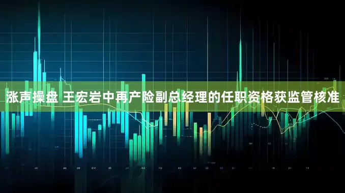 涨声操盘 王宏岩中再产险副总经理的任职资格获监管核准